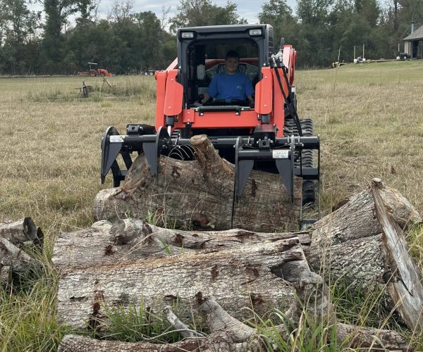 Tree Removal